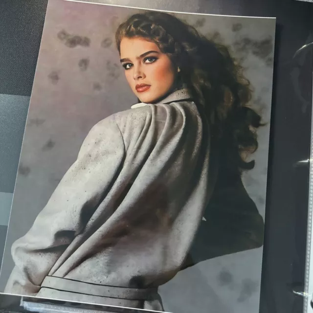 Model & Actress Brooke Shields Publicity Picture Photo Print 8" x 10"