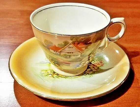 Vintage ROYAL WINTON GRIMWADES "RED ROOF" Tea Cup and Saucer Yellow Gold
