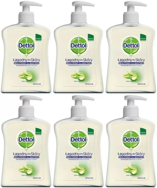 6 x 250ml Dettol / Sagrotan Pflege Flüssigseife mit Aloe Vera