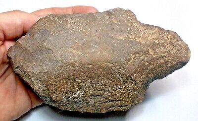 Paleolithic Early human hand axe Acheulian Saharan stone age tool Ref:WB3.AX3