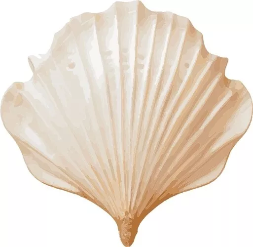 Sea Shell SVG Clipart for Crafts, SVG Files