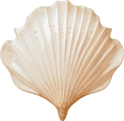 Sea Shell SVG Clipart for Crafts, SVG Files