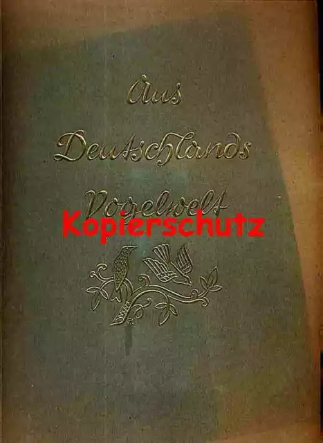 ZBA - Aus Deutschlands Vogelwelt - 200 Bilder - Beschreibung - um 1937
