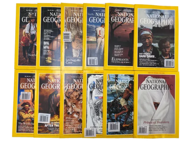 Vintage National Geographic Magazines 1991 - Full Year Set - 12 Magazines 📖