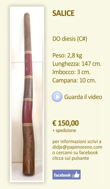 Didgeridoo artigianale in legno fatto a mano