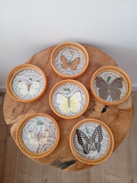 Set Plateau En Bambou Et 12 Sous-verres Ailes De Papillons - Style Colonial