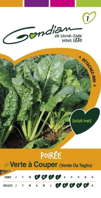 Graines De Poirée Verte à Carde Blanche 3 Bio ® - Graines à Semer