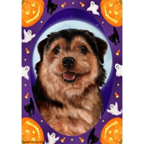 Halloween Garden Flag - Black and Tan Norfolk Terrier 122251
