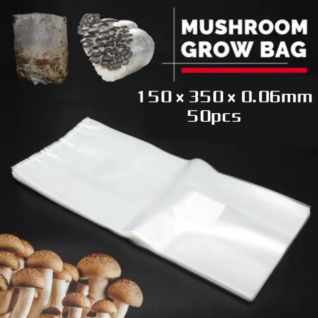 Sacs de culture de champignons transparents 50 pièces sacs résistants à la ch