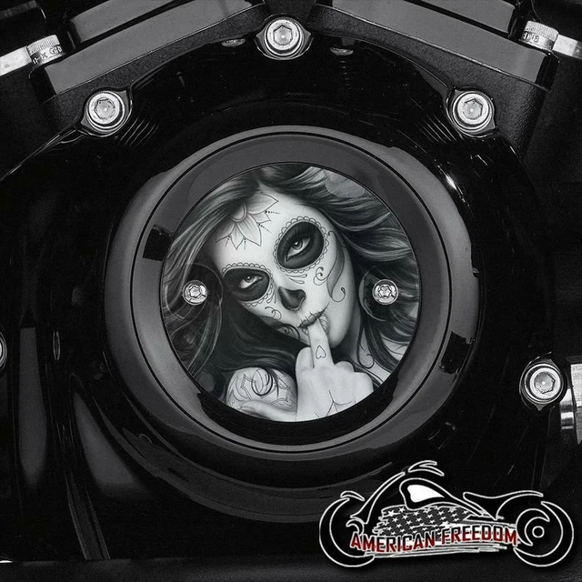 HARLEY DAVIDSON MILWAUKEE 8 Eight Timing Points Cover M8 Engine Eagle