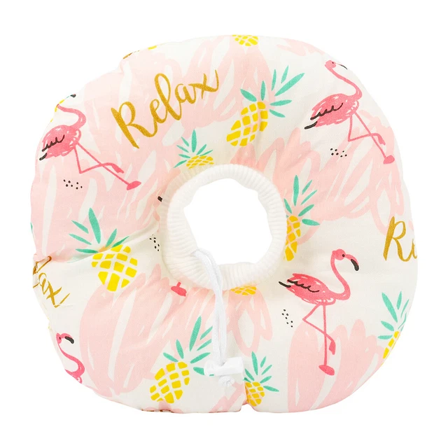 Cone Collar Kittens Cat Recovery Collar Cone Elizabeth Circle