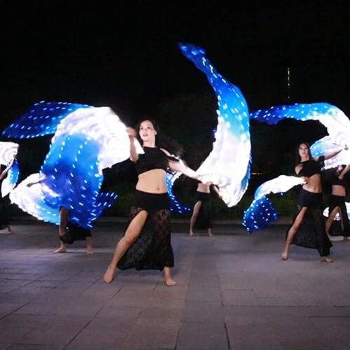 Belly DanceSilk Veil Fan With 180cm Long Blue White LED Lights Practice  Stage
