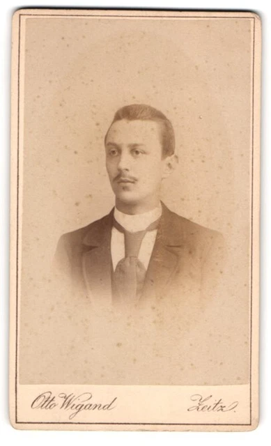 Fotografie Otto Wigand, Zeitz, Badstubenvorstadt 2, Junger Herr mit Krawatte im