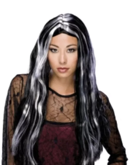 Streaked Witch Wig 24” Long Deluxe Quality Halloween -Costume - Dress Up - Party