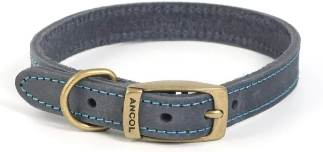 Ancol Timberwolf Blue Leather Dog Collar Size 2 (26-31cm)