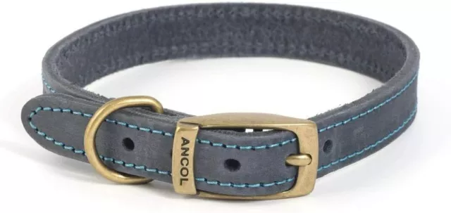 Collier en cuir bleu Ancol Timberwolf taille 2 (26-31 cm)