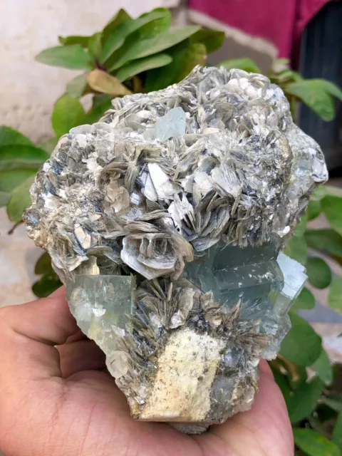 5020 CTS Beautiful Aquamarine Crystal with Muscovite Combine specimen