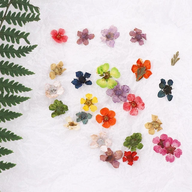 Accessories Nail Art Dried Flower DIY Nail Decals 3D Nail Art Decorations