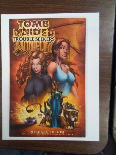 Top Cow Comics Tomb Raider - Witchblade Trouble Seekers Vol 1 TPB