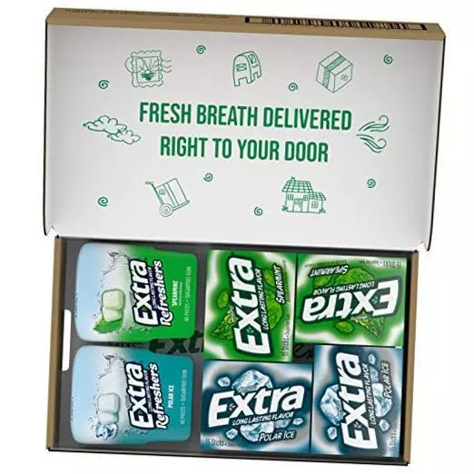 Spearmint & Polar Ice Sugar Free Chewing Gum Bulk Assortment, 15 Sticks & 40