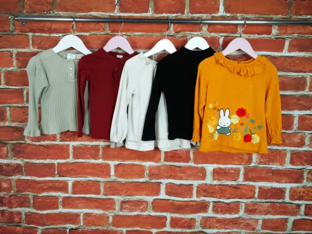 Girl Bundle Age 2-3 Years H&M Next Zara Tees Long Sleeve Plain Miffy Rabbit 98Cm