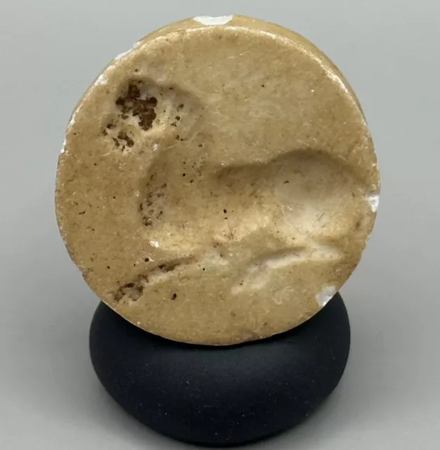 Authentic Ancient Near Eastern Double Intaglio Rare Bead