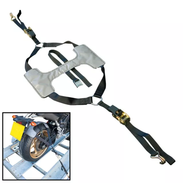 Motorcycle Wheel Brace Ratchet Tie Down Strap Securing Transport System