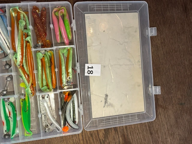 Raubfisch/Barsch/Zander/Angel/Fischen - Köder Box Raubfisch 18