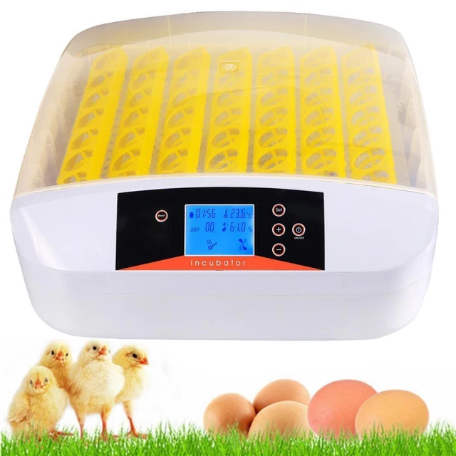 NEW 56 EGG Incubator Fully Automatic Poultry Hatcher Temperature