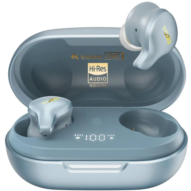 TOZO Golden X1 Kopfhörer Bluetooth 5.3 Umgebung & Aktive Geräuschunterdrückung