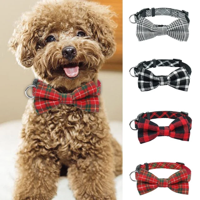 Collana Collare Moda Animale Animale Per Carlino Bulldog Comoda e Attraente
