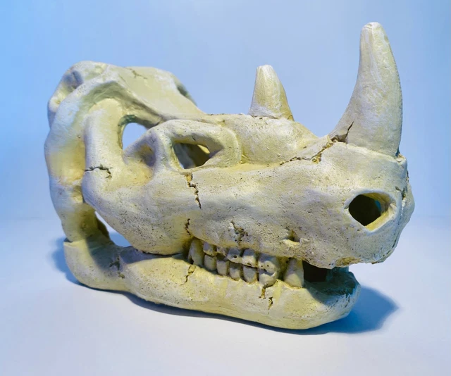 16 cm Prehistoric Skull Head Aquarium Fish Tank Ornament DNX3