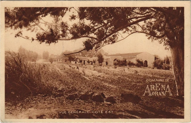 CPA AK ORAN Domaine de Arena Oran - General View - East Coast Algeria (1089032)