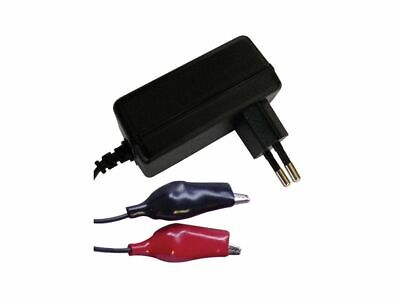 AGM CARICABATTERIE CHARGER 1284S per BATTERIE PIOMBO E GEL AGM 12V 2.0AH 2AH 14.6V 