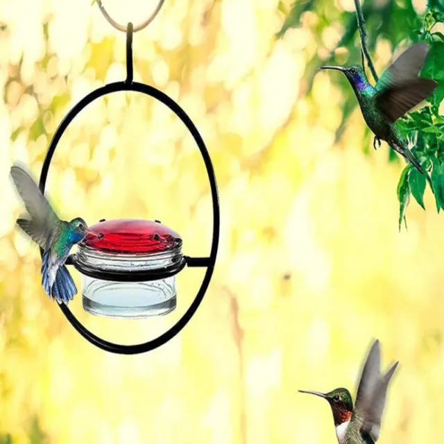 Alimentador de aves de patio trasero fácil alimentador de aves capacidad comederos para colibríes a prueba de fugas