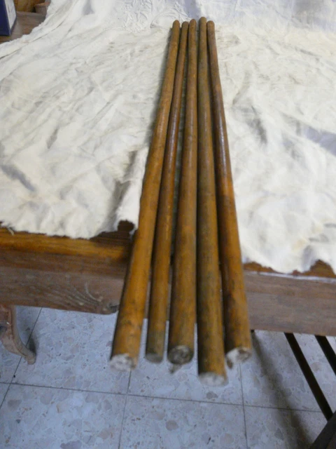 FOUET DE CHASSE AUX GENS SWAIN HALLMARKED - POIGNÉE EN BOIS