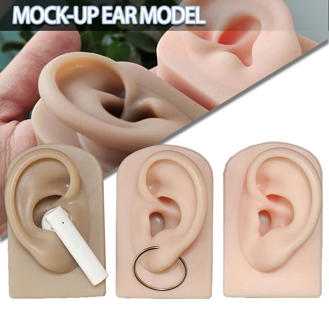 Herramienta de simulación de perchas modelo de oreja de silicona para exhibición de pernos para orejas.