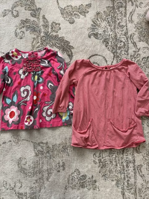 Lot Of 2 Baby Girl Long Sleeve Tops Baby Gap Carter Sz 2-4T