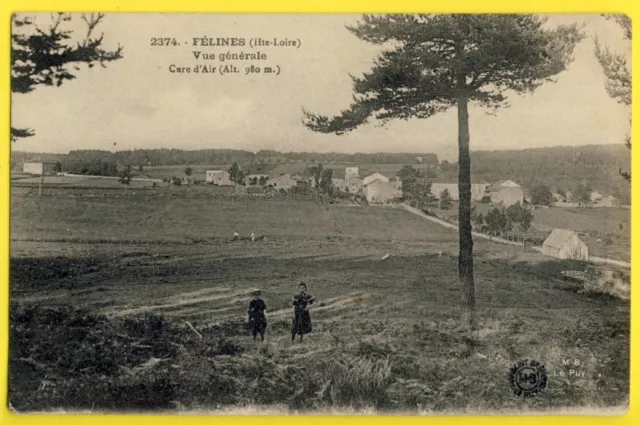 CPA Rare FÉLINES (Hte Loire) Vue générale du Village CURE d'AIR (Alt. 980 m)