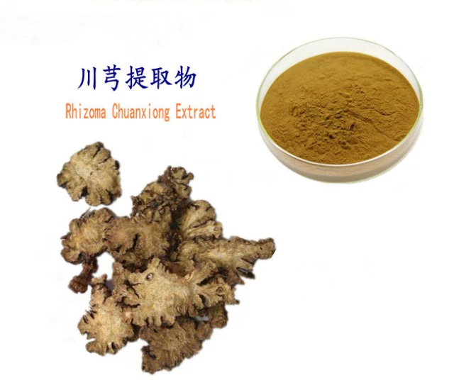 CHUAN XIONG EXTRACT Szechuan Lovage Root Ligusticum Extract Powder