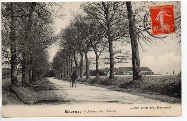 ESTERNAY - Marne - CPA 51 - Avenue du Chateau