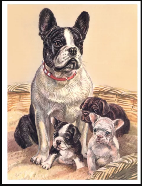 French Bulldog Mother And Pups Lovely Vintage Style Dog Art Print Poster