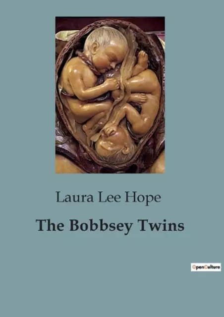 The Bobbsey Twins by Laura Lee Hope Paperback Book