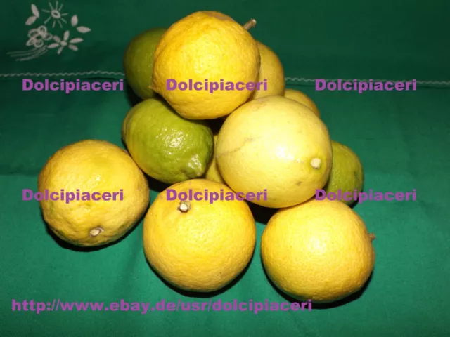 Kg. 5-10-15-20-25-28 Frische Zitronen Lemons aus Sizilien