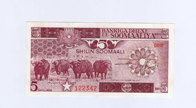 Somalia , 5 Shilin SOOMAALI / 5 Shillings , MUQDISHO 1986 Pick #31b  , aUNC