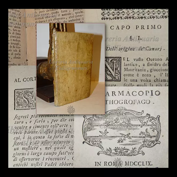 AVICOLTURA Ornitologia: ORNITHOGONIA COVA dei CANARJ 1759 Allevamento Canarini