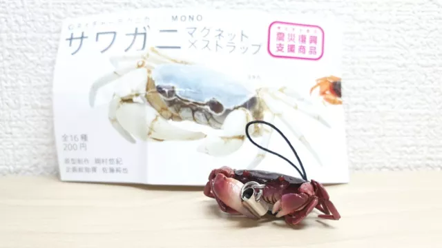 Kitan Club Nature Techni Colour JAPANESE FRESHWATER CRAB brown animal figure