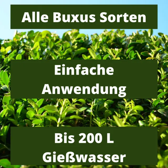 Buchsbaum Flüssigdünger Flora Boost für alle Buxus Sorten geeignet 1 Liter 3