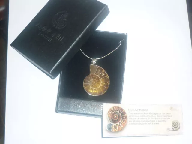 cristalloterapia PENDENTE COLLANA FOSSILE AMMONITE minerale ELEGANT BOX ciondolo