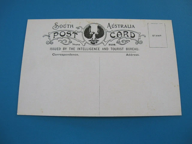 Torrens Lake Adelaide South Australia Intelligence and Tourist Bureau Postcard 2